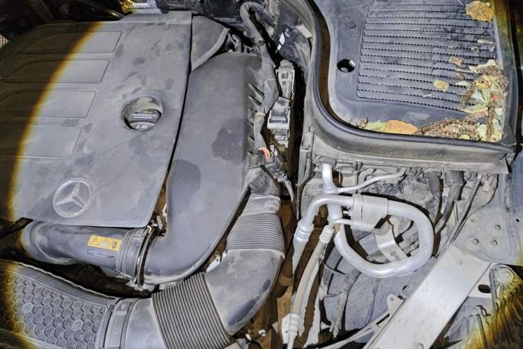 Used Mercedes-Benz GLC 2020 Facelift GLC 300 L 4MATIC Dynamic Edition Engine Bay Left
