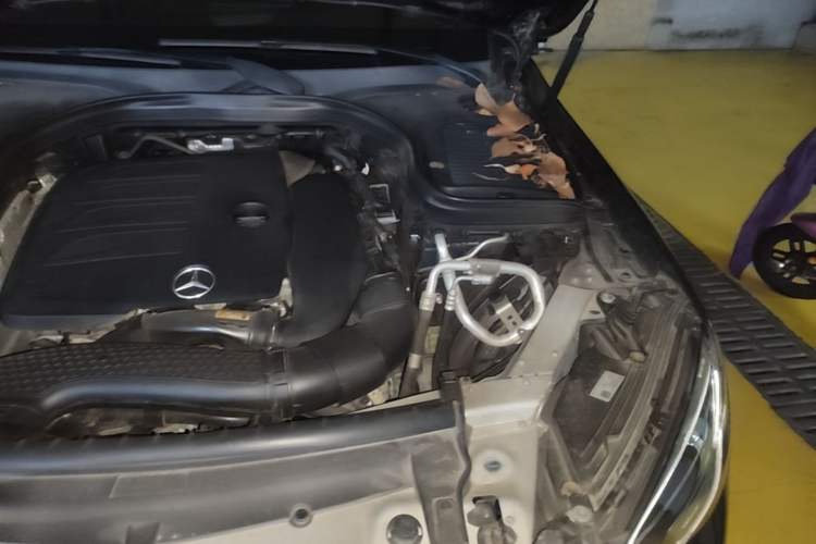 Used Mercedes-Benz GLC 2020 Facelift GLC 300 L 4MATIC Dynamic Edition Engine Bay Left