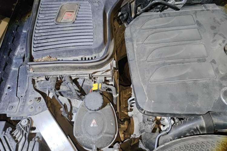 Used Mercedes-Benz GLC 2020 Facelift GLC 300 L 4MATIC Dynamic Edition Engine Bay Right