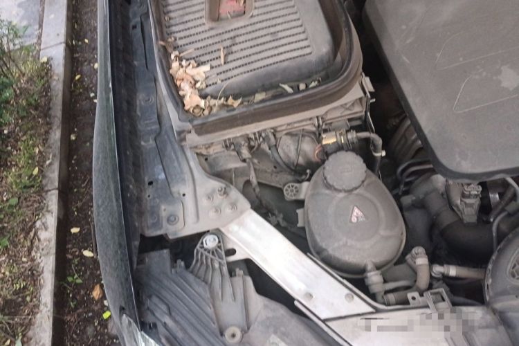 Used Mercedes-Benz GLC 2020 GLC 300 L 4MATIC Dynamic Edition Engine Bay Right