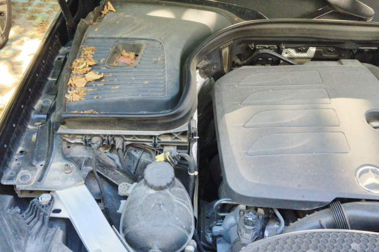 Used Mercedes-Benz GLC 2020 GLC 300 L 4MATIC Dynamic Edition Engine Bay Right