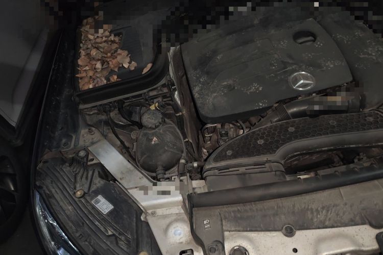 Used Mercedes-Benz GLC 2020 GLC 300 L 4MATIC Luxury Model Engine Bay Right