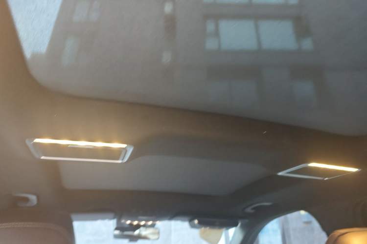 Used Mercedes-Benz GLC 2020 Facelift GLC 300 L 4MATIC Dynamic Edition Headliner