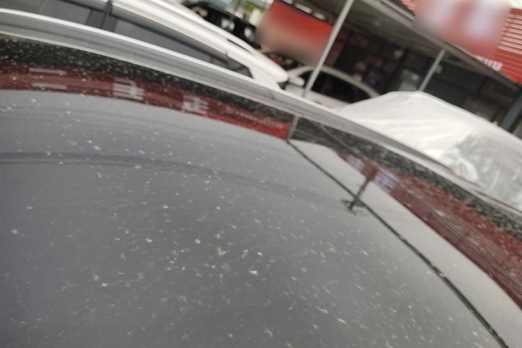 Used Mercedes-Benz GLC 2020 Facelift GLC 300 L 4MATIC Dynamic Edition Roof