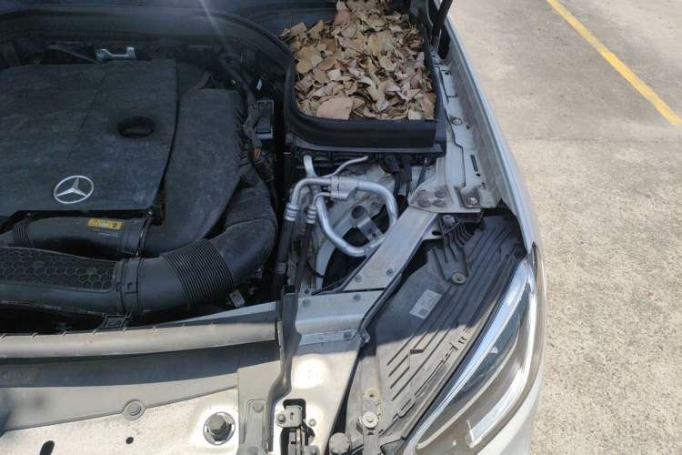 Used Mercedes-Benz GLC 2020 GLC 260 L 4MATIC Dynamic Model Engine Bay Left
