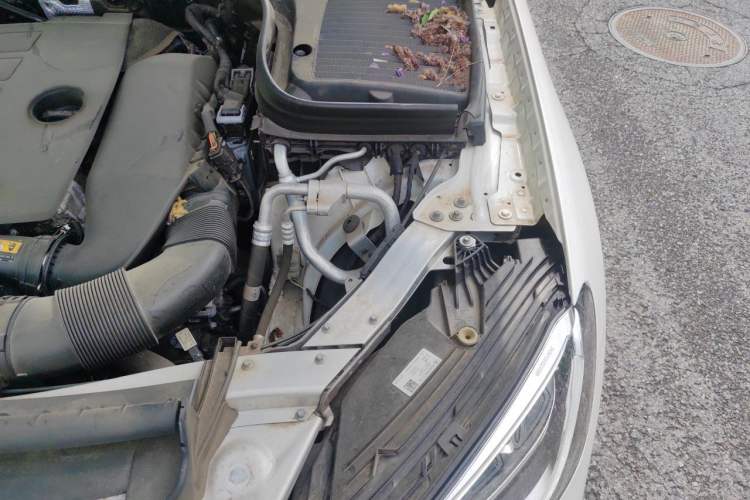 Used Mercedes-Benz GLC 2020 GLC 260 L 4MATIC Luxury Model Engine Bay Left