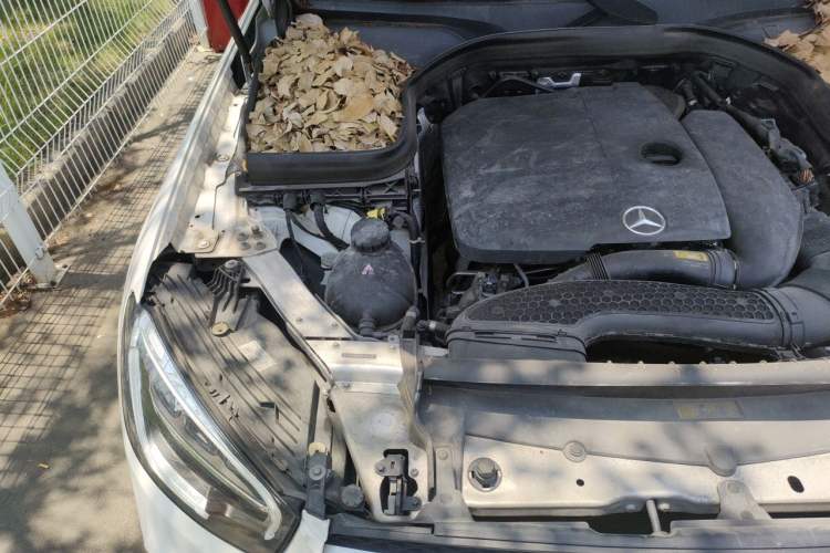 Used Mercedes-Benz GLC 2020 GLC 260 L 4MATIC Dynamic Model Engine Bay Right