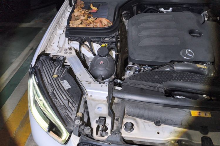 Used Mercedes-Benz GLC 2020 Facelift GLC 300 L 4MATIC Dynamic Edition Engine Bay Right