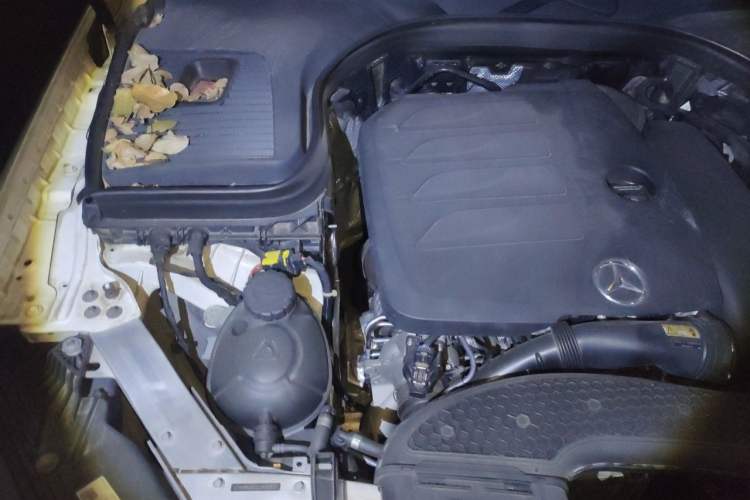 Used Mercedes-Benz GLC 2020 GLC 260 L 4MATIC Dynamic Model Engine Bay Right