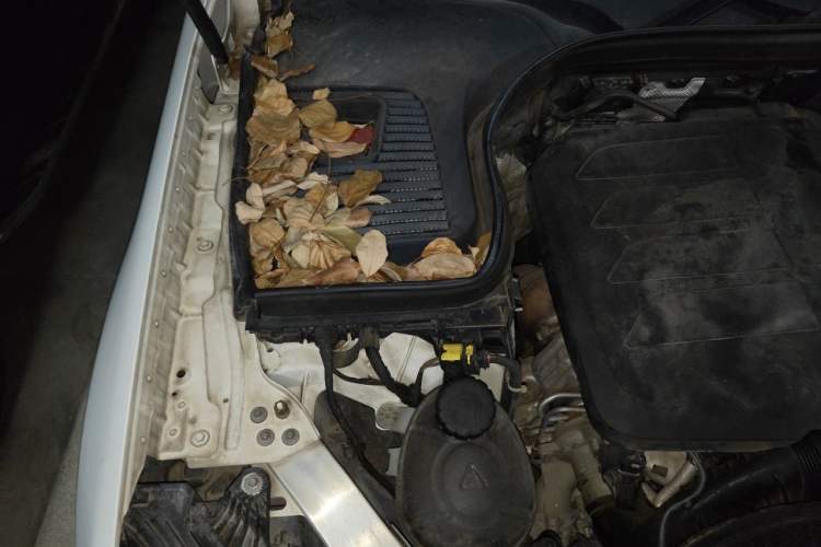 Used Mercedes-Benz GLC 2020 GLC 300 L 4MATIC Dynamic Edition Engine Bay Right