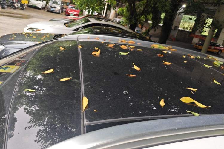 Used Mercedes-Benz GLC 2020 GLC 300 L 4MATIC Dynamic Edition Roof