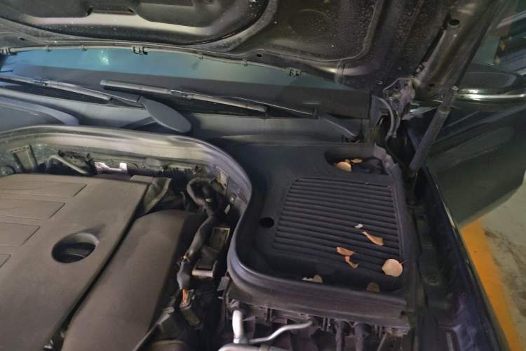 Used Mercedes-Benz GLC 2021 GLC 300 L 4MATIC Dynamic Model Engine Bay Left