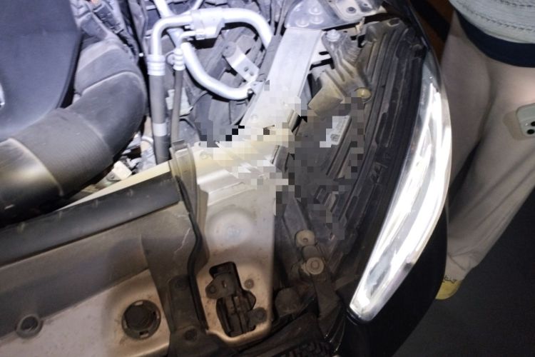 Used Mercedes-Benz GLC 2021 GLC 300 L 4MATIC Dynamic Model Engine Bay Left