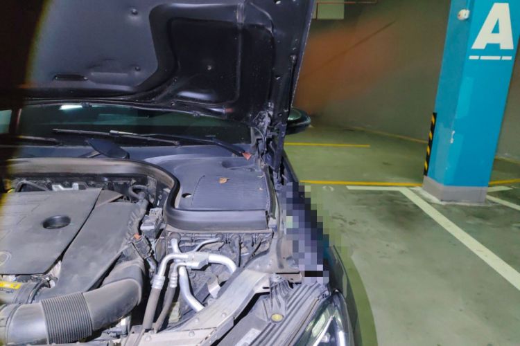 Used Mercedes-Benz GLC 2021 GLC 300 L 4MATIC Dynamic Model Engine Bay Left