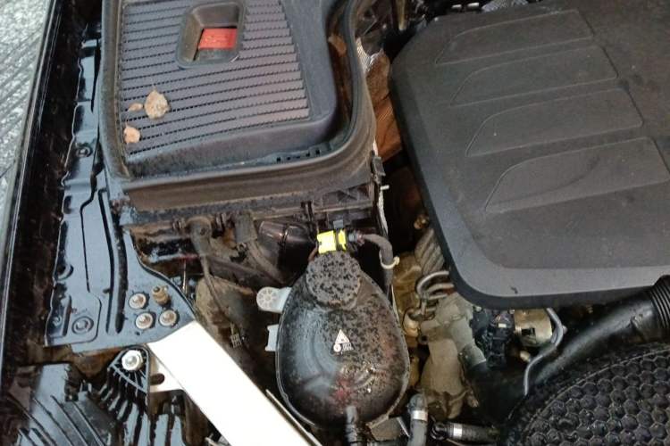 Used Mercedes-Benz GLC 2021 GLC 300 L 4MATIC AMG-Line Engine Bay Right