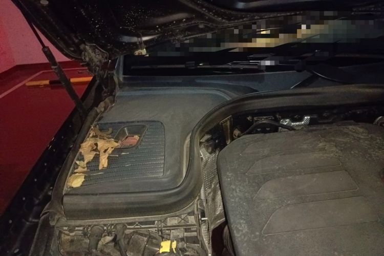 Used Mercedes-Benz GLC 2021 GLC 300 L 4MATIC Dynamic Model Engine Bay Right