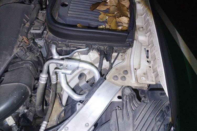 Used Mercedes-Benz GLC 2021 GLC 260 L 4MATIC Luxury Model Engine Bay Left