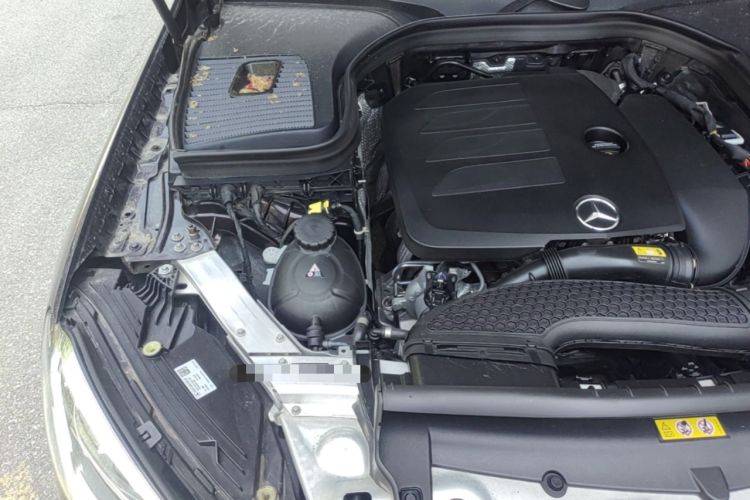 Used Mercedes-Benz GLC 2021 GLC 300 L 4MATIC Dynamic Model Engine Bay Right