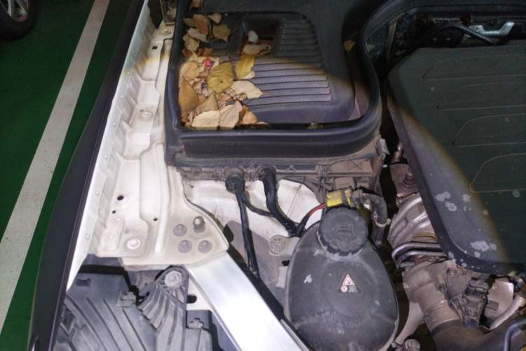 Used Mercedes-Benz GLC 2021 GLC 260 L 4MATIC Luxury Model Engine Bay Right