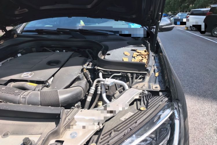 Used Mercedes-Benz GLC 2022 Refreshed GLC 300 L 4MATIC Dynamic Edition Prestige Version Engine Bay Left