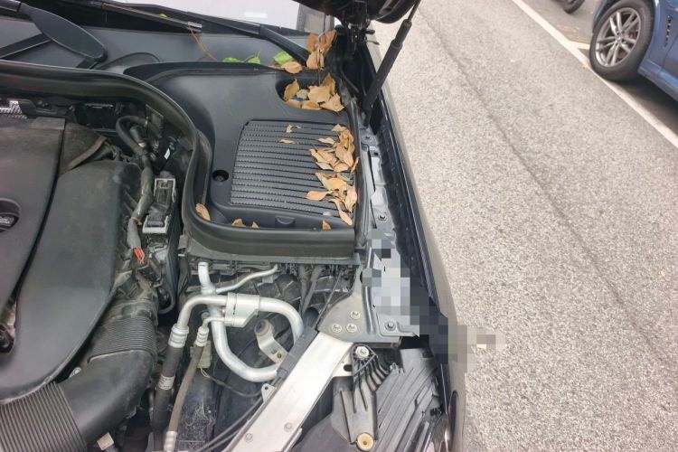 Used Mercedes-Benz GLC 2022 Second Facelift GLC 260 L 4MATIC Luxury Edition Engine Bay Left