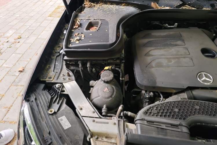Used Mercedes-Benz GLC 2022 Second Facelift GLC 260 L 4MATIC Dynamic Edition Engine Bay Right