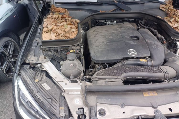 Used Mercedes-Benz GLC 2022 Refreshed GLC 260 L 4MATIC Dynamic Edition Engine Bay Right