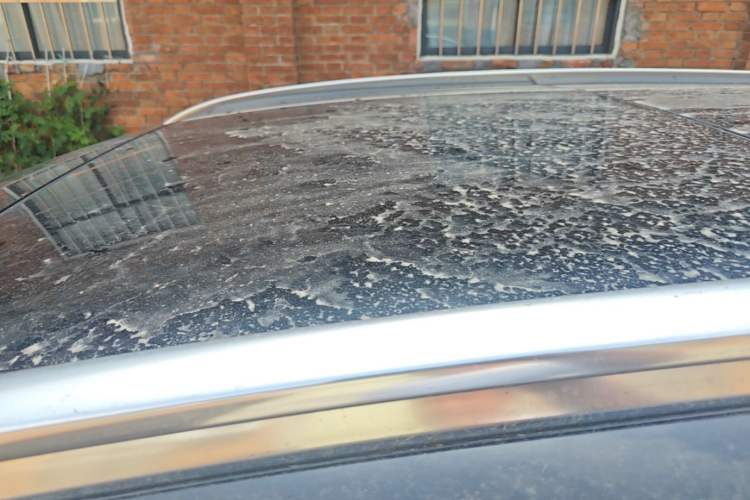 Used Mercedes-Benz GLC 2022 Facelifted GLC 260 L 4MATIC Dynamic Edition Roof