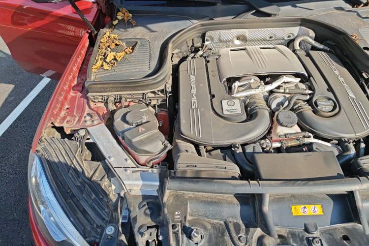Used Mercedes-Benz GLC AMG 2018 AMG GLC 63 4MATIC+ Engine Bay Right