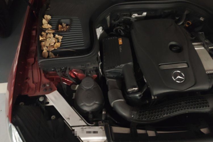 Used Mercedes-Benz GLC Coupe 2017 GLC 260 4MATIC Coupe SUV Engine Bay Right
