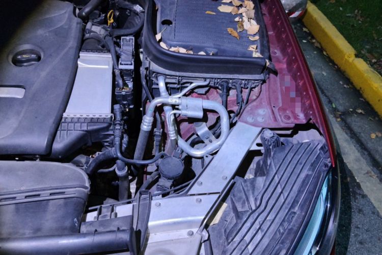 Used Mercedes-Benz GLC Coupe 2019 Facelift GLC 200 4MATIC Coupe SUV Engine Bay Left