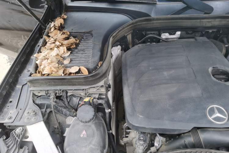 Used Mercedes-Benz GLC Coupe 2020 GLC 260 4MATIC Coupe SUV Engine Bay Right