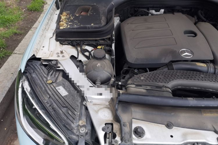 Used Mercedes-Benz GLC Coupe 2020 GLC 260 4MATIC Coupe SUV Engine Bay Right