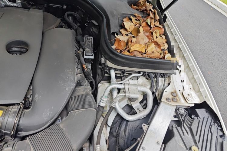 Used Mercedes-Benz GLC Coupe 2020 GLC 260 4MATIC Coupe SUV Engine Bay Left