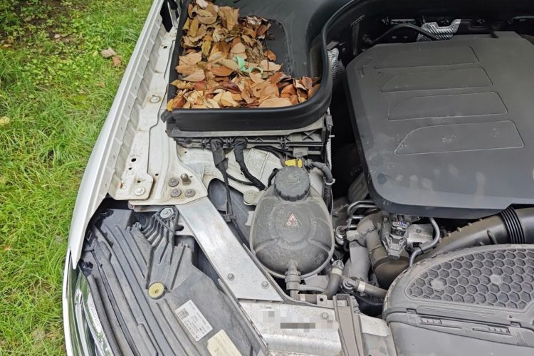 Used Mercedes-Benz GLC Coupe 2020 GLC 260 4MATIC Coupe SUV Engine Bay Right