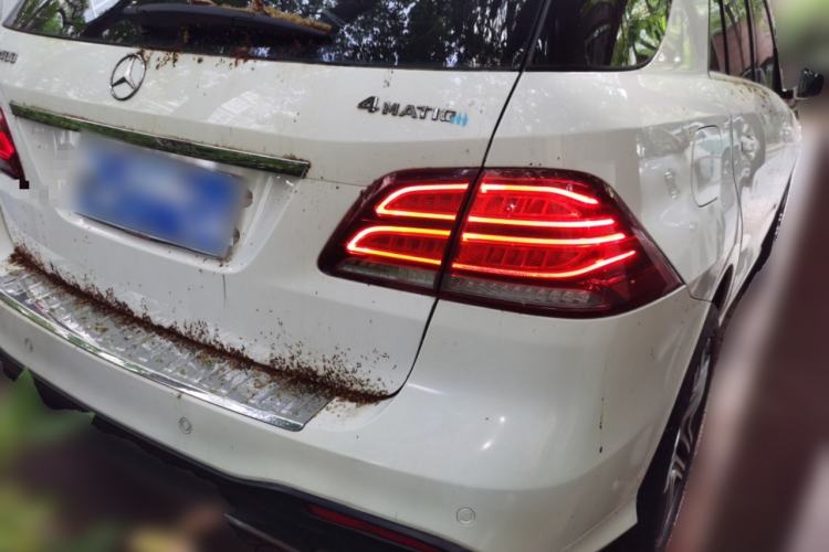 Used Mercedes-Benz GLE 2016 GLE 320 4MATIC Luxury Model Rear Right 45 Deg