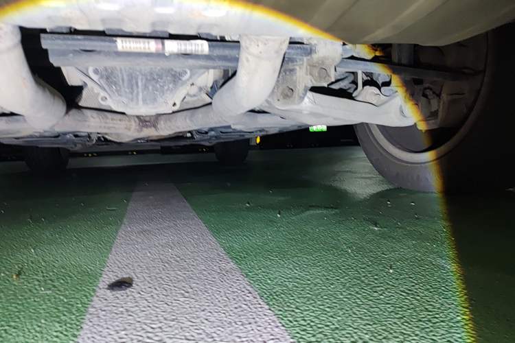 Used Mercedes-Benz GLE 2017 GLE 320 4MATIC Dynamic Model Chassis Rear