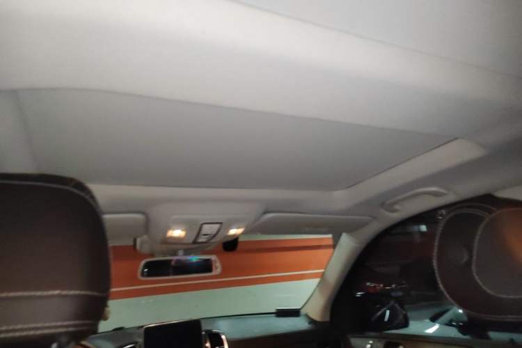 Used Mercedes-Benz GLE 2017 GLE 320 4MATIC Dynamic Model Headliner