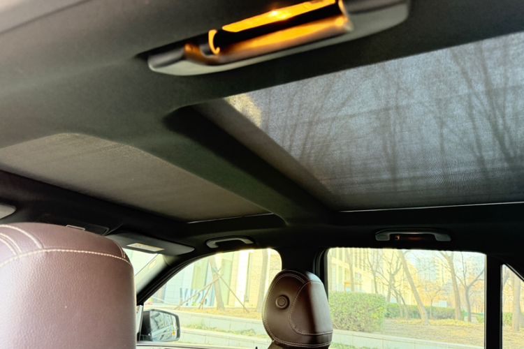 Used Mercedes-Benz GLE 2017 GLE 320 4MATIC Dynamic Model Headliner
