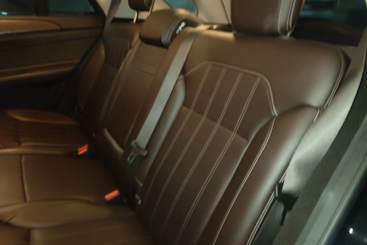Used Mercedes-Benz GLE 2017 GLE 320 4MATIC Dynamic Model Left Rear Seat