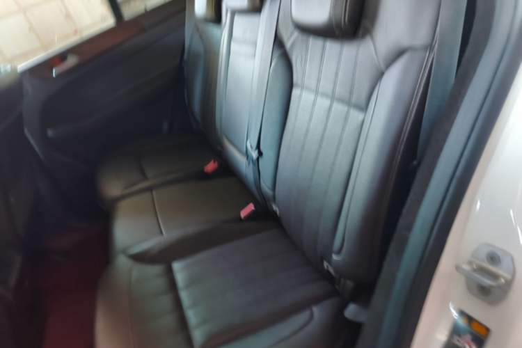 Used Mercedes-Benz GLE 2017 GLE 320 4MATIC Dynamic Model Left Rear Seat