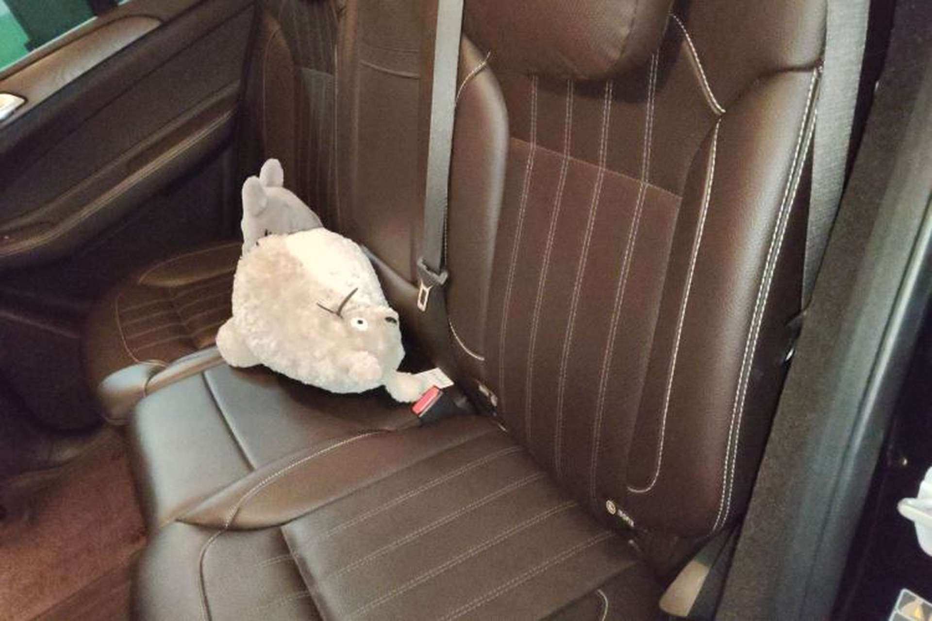 Used Mercedes-Benz GLE  Left Rear Seat
