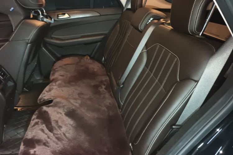 Used Mercedes-Benz GLE 2017 GLE 320 4MATIC Dynamic Model Left Rear Seat