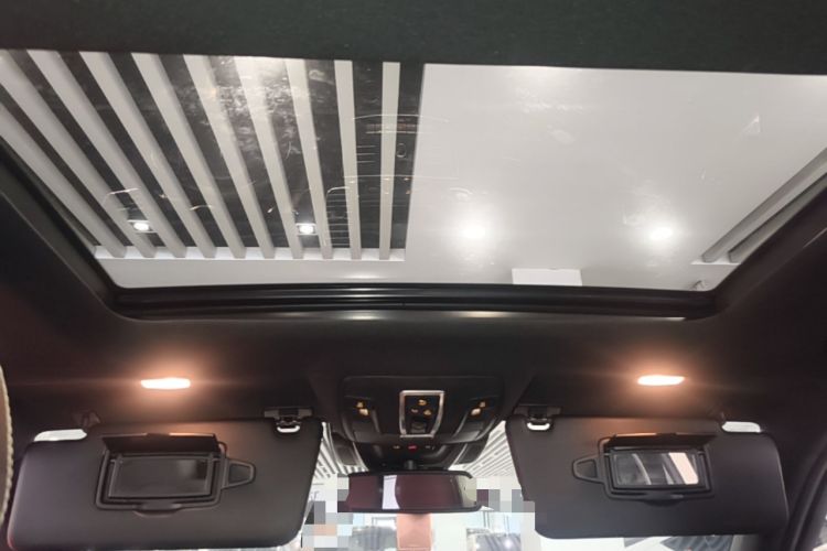 Used Mercedes-Benz GLE 2017 GLE 320 4MATIC Dynamic Model Headliner