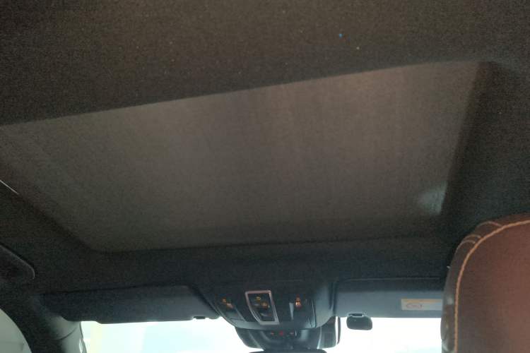 Used Mercedes-Benz GLE 2017 GLE 320 4MATIC Dynamic Model Headliner
