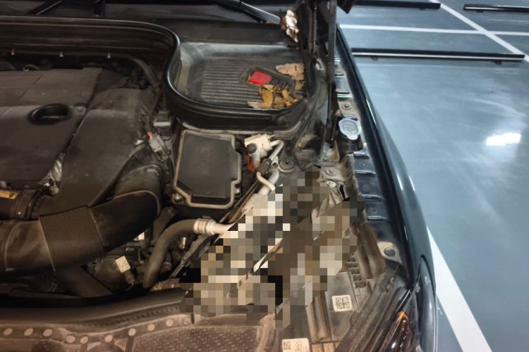 Used Mercedes-Benz GLE 2020 Restyled GLE 350 4MATIC Fashion Edition Engine Bay Left