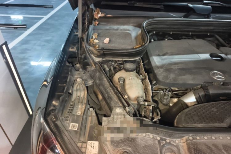 Used Mercedes-Benz GLE 2020 Restyled GLE 350 4MATIC Fashion Edition Engine Bay Right