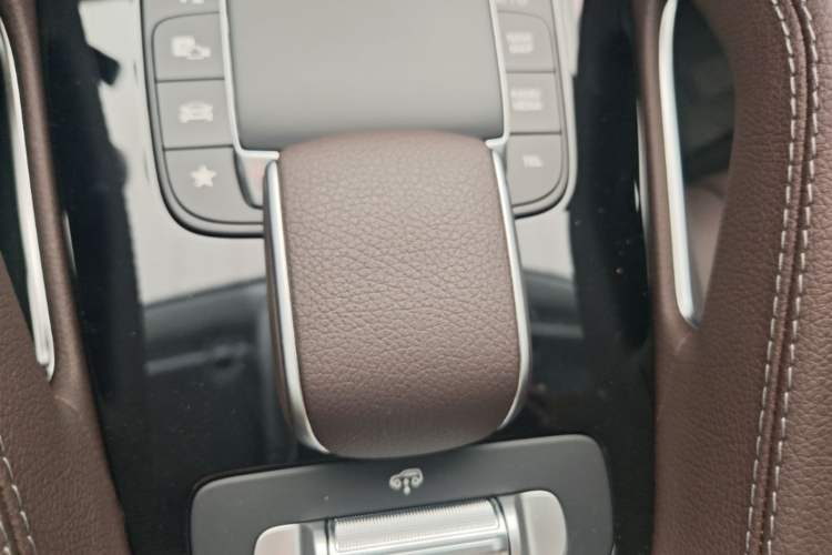 Used Mercedes-Benz GLE 2020 Restyled GLE 450 4MATIC Dynamic Edition Gear Lever