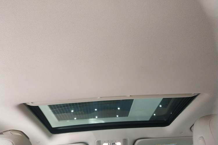 Used Mercedes-Benz GLE 2020 GLE 350 4MATIC Dynamic Edition Headliner