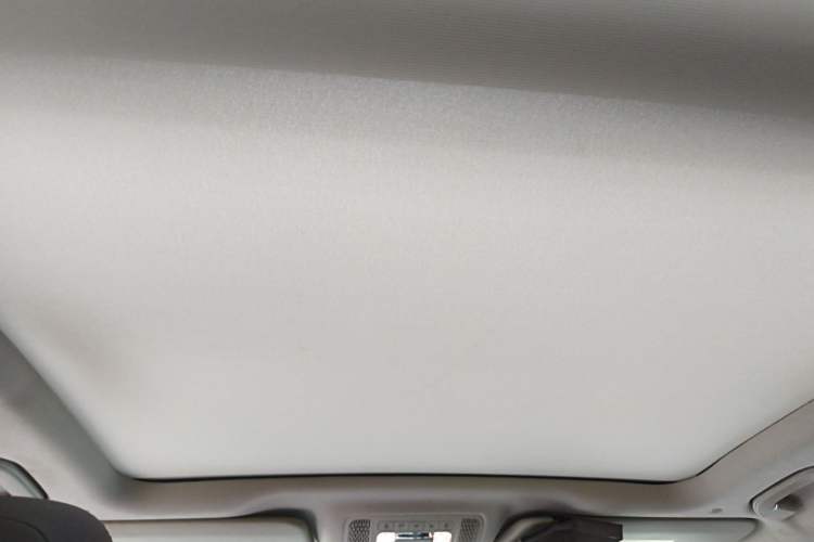 Used Mercedes-Benz GLE 2020 Restyled GLE 350 4MATIC Fashion Edition Headliner